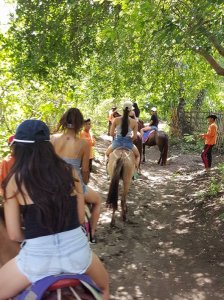 Binibinis visit Taal Crater Lake and Volcano